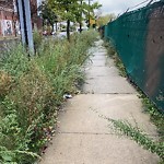 Clean and Green Program Request at 3900–3930 S Normal Ave, Chicago Il 60609, United States