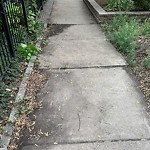 Shared Cost Sidewalk Program Request at 2741 N Bosworth Ave, Chicago Il 60614, United States